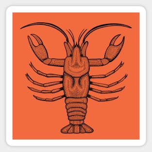 Crayfish or Mudbug Ink Art - cool animal design - on orange Sticker